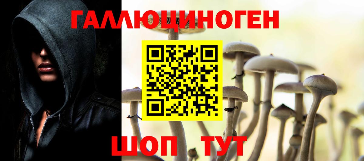 Псилоцибиновые грибы GOLDEN TEACHER  Вход с VPN  Дзержинский 
